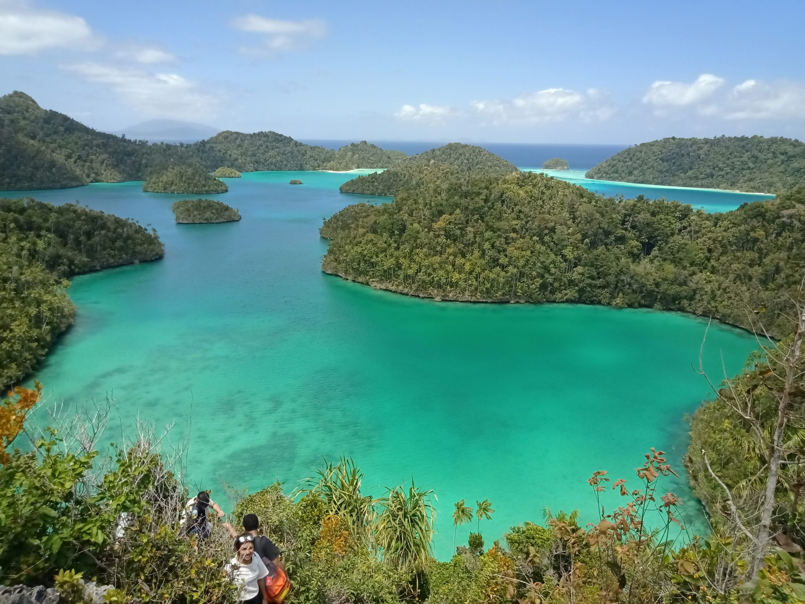 oppo 2